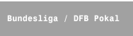 Bundesliga / DFB Pokal